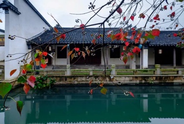 冬季到黎里来看雨