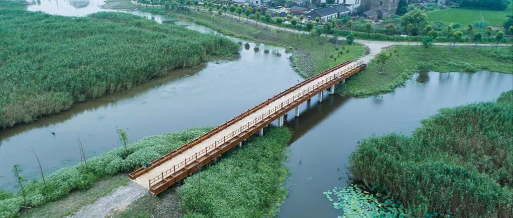 黎里3条经典骑行路线等你来