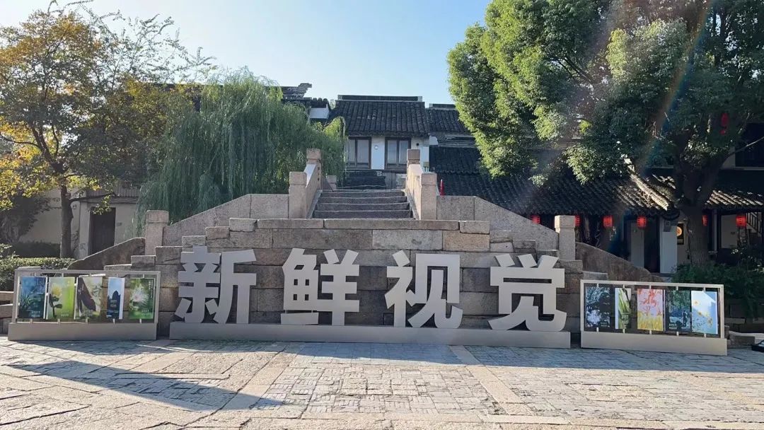 来打卡神仙图！黎里纪录片海报展来袭