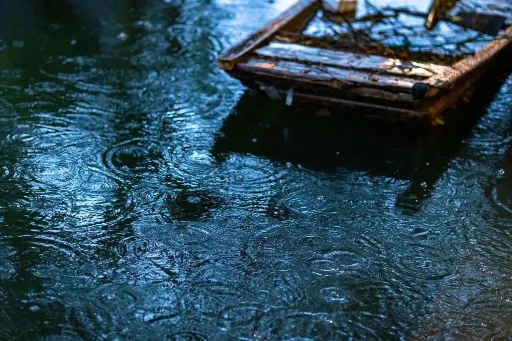 下雨天，可以来黎里这样玩