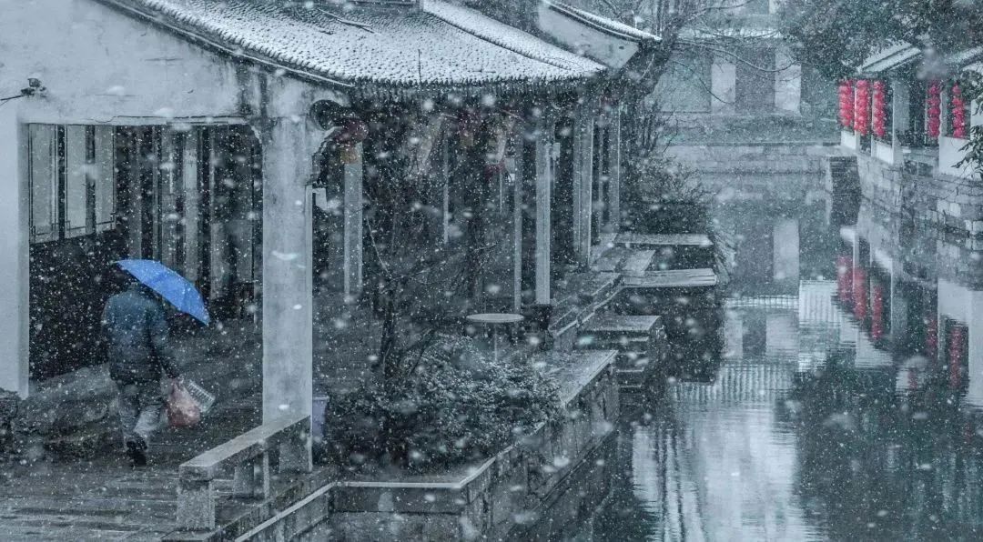 茶与雪，成就黎里入冬的仪式