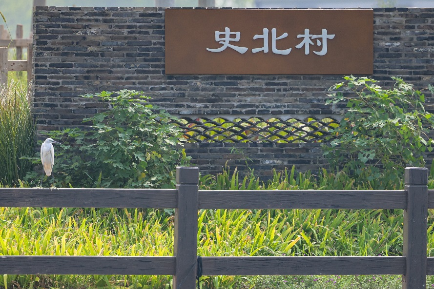 黎里史北丨春天来了，去有风的地方“野”