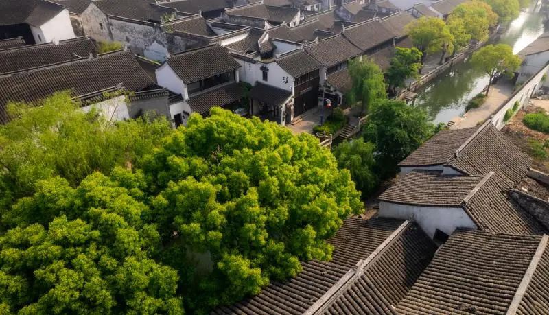 江苏人文经济入库案例发布，黎里入选