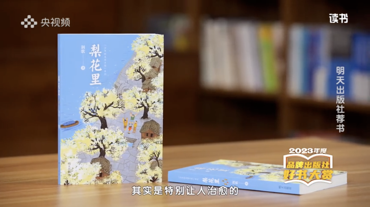 关于“治愈”的故事丨央视《读书》种草《梨花里》