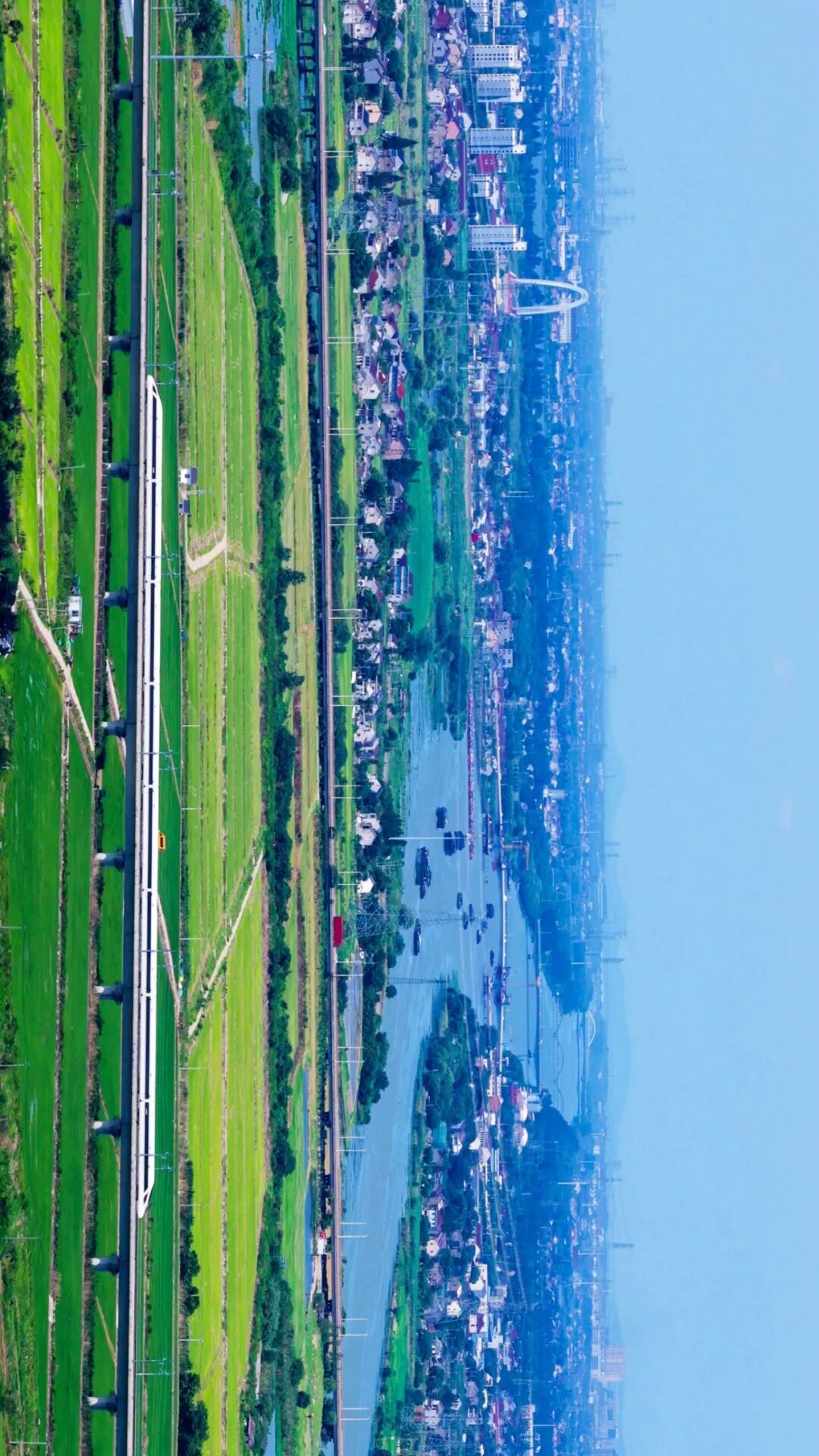 今日处暑！来黎里，收官这个夏天